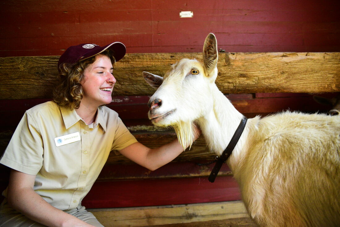 ACE EPIC member petting a goat.