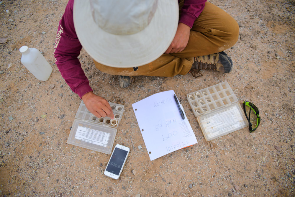 ACE EPIC Member sitting on the ground, sorting samples and recording data.